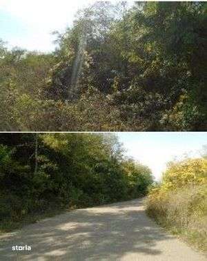 Teren extravilan  Tamboesti    ; ID: R2832805-3