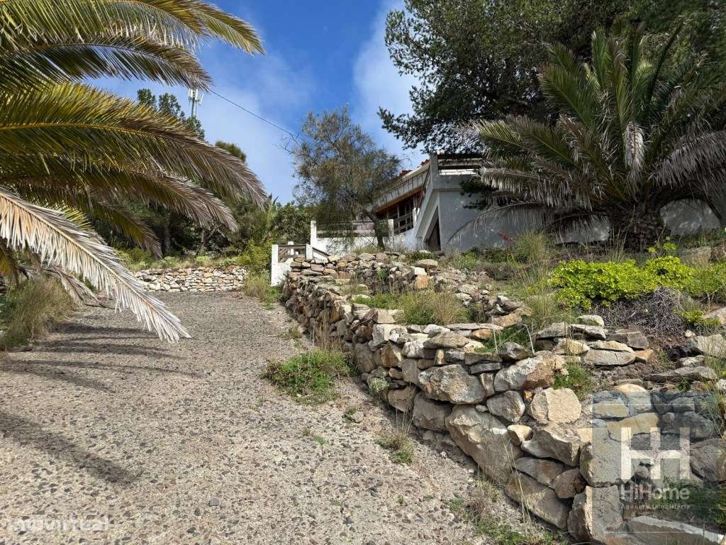 Moradia T2 para Recuperar com Vista Desafogada - Porto Santo - Grande imagem: 5/37