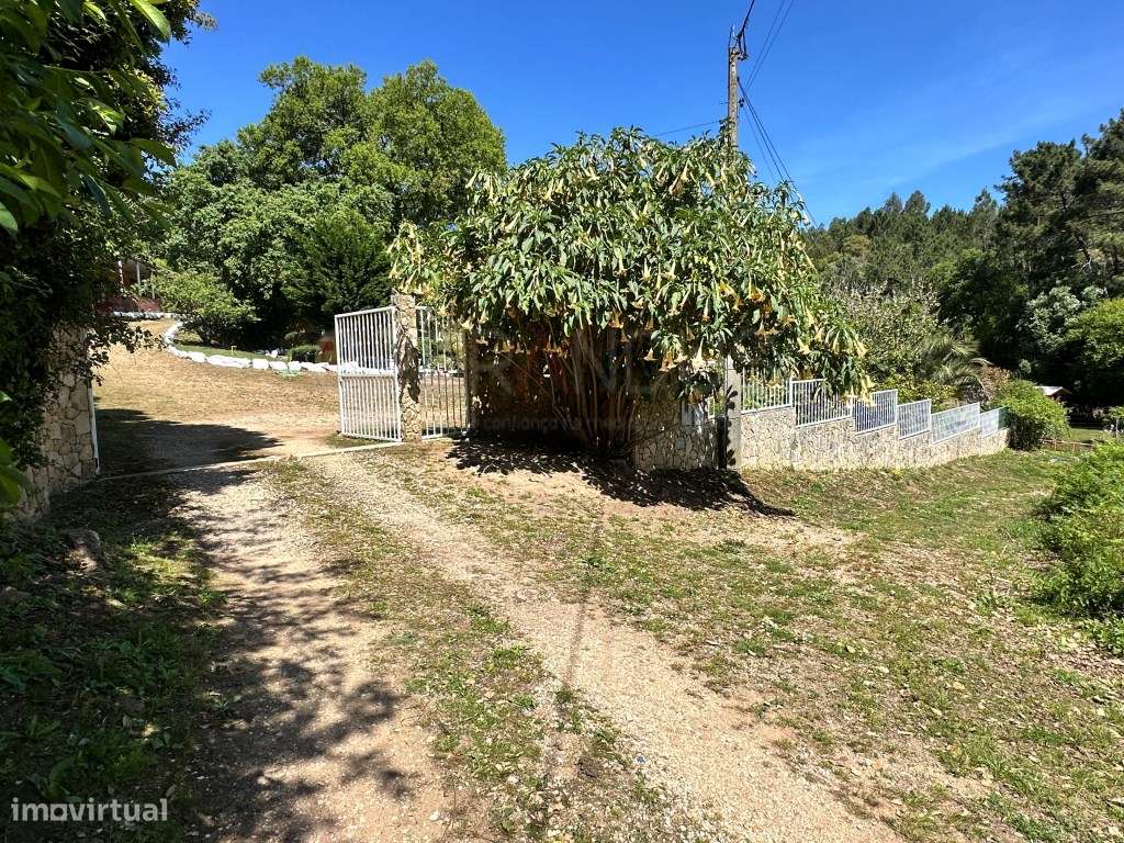 Quinta - Quintinha - Moradia-27