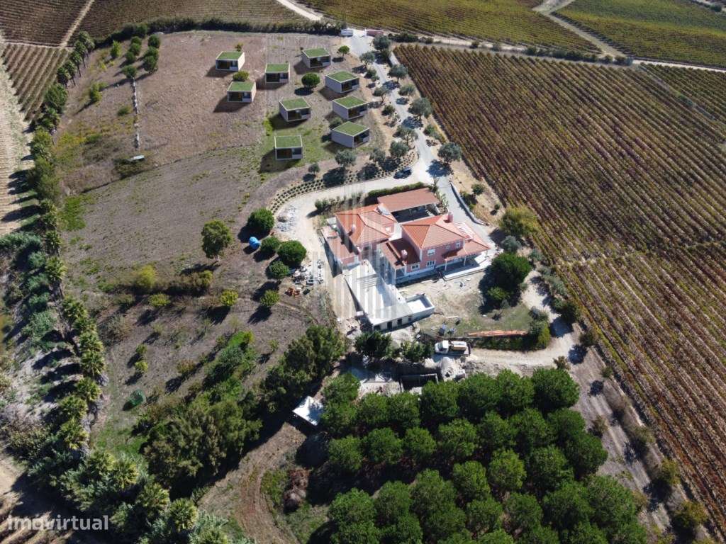 Oportunidade de Investimento: Quinta Vinícola de Luxo com Projeto d... - Grande imagem: 3/60