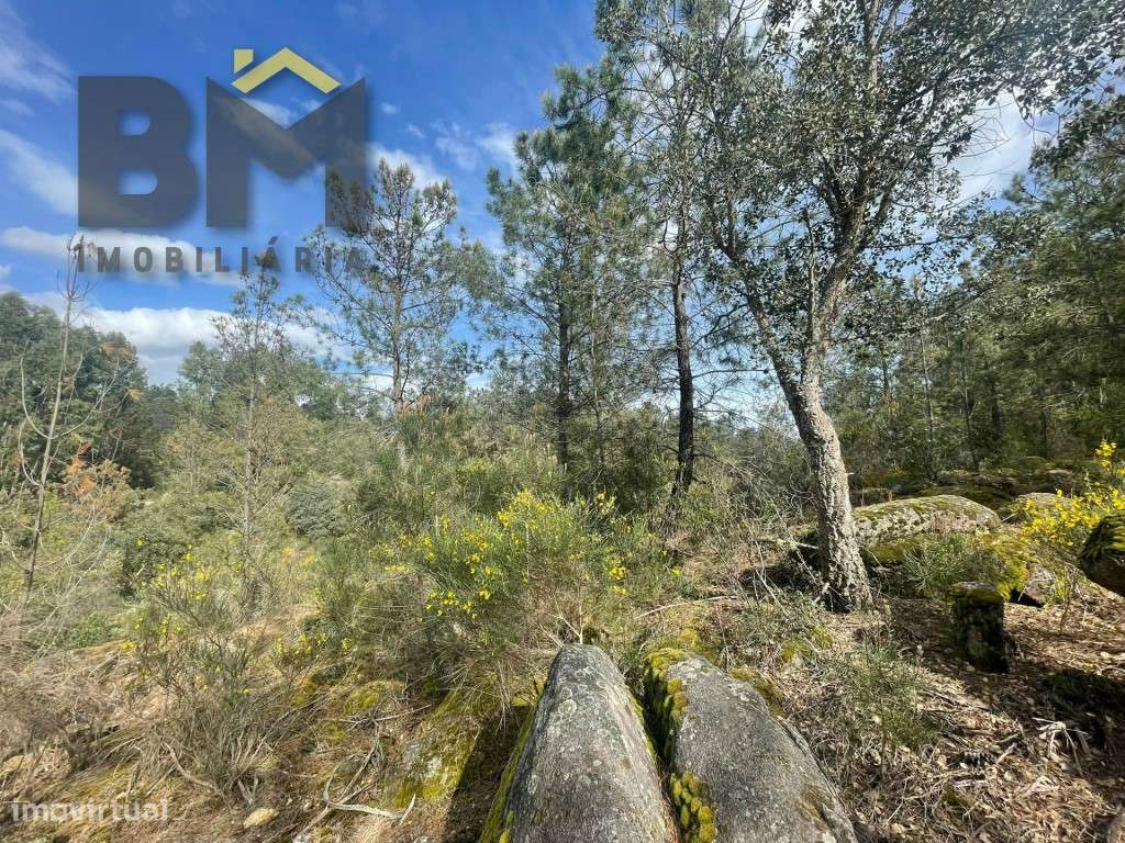 Terreno rustico com 9000m2 em Tinalhas - Grande imagem: 5/10