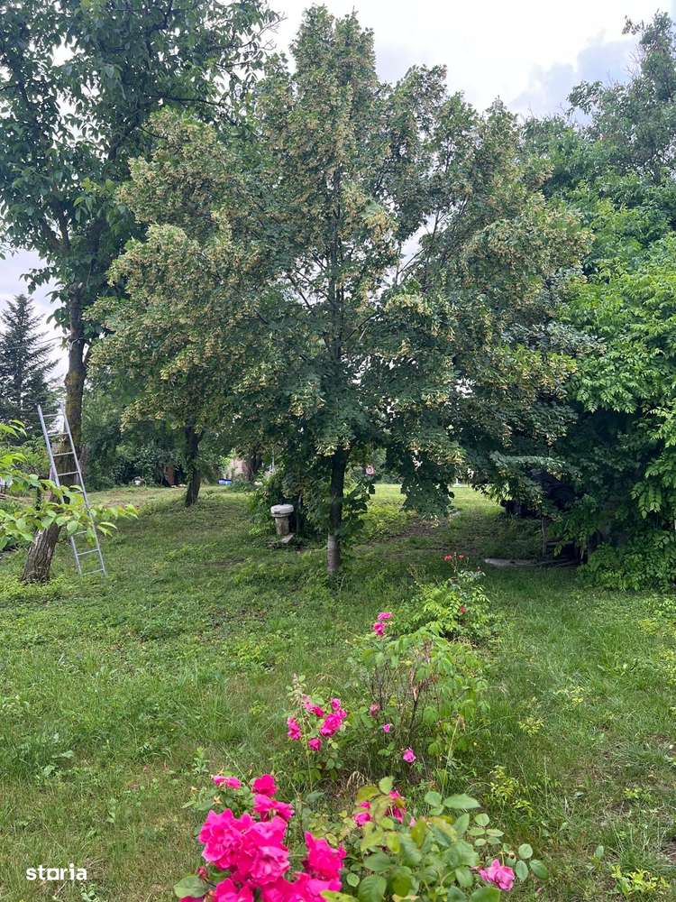 ofer spre vanzare teren pe malul lacului Snagov si vila S+P+E+M - Imagine principală: 5/9