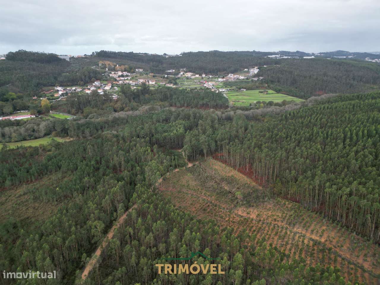 Terreno Rústico  Venda em Milheirós de Poiares,Santa Maria da Feira - Grande imagem: 2/9