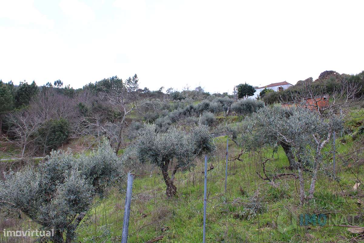 Terreno - Grande imagem: 5/24