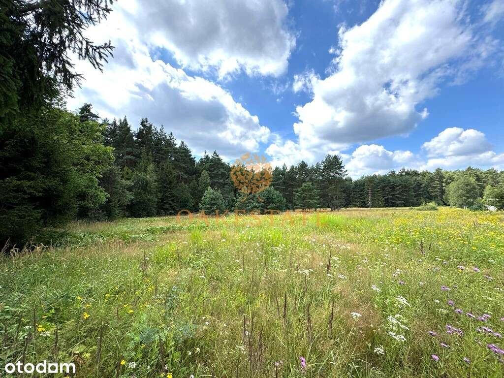 działka budowlana z mediami inwestycyjna ogrodzona - Pełny obrazek: 1/6
