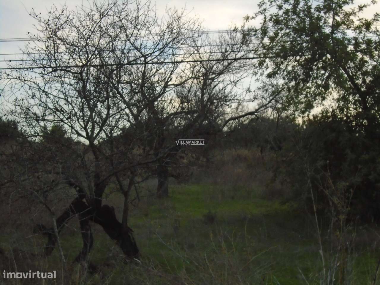 Terreno urbano com 21,8 hectares situado na ligação entre a A22 e o ce-28