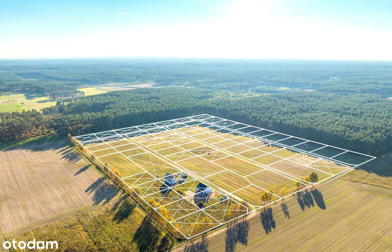 Przyroda, jezioro, bliskość Gorzowa i wiele więcej