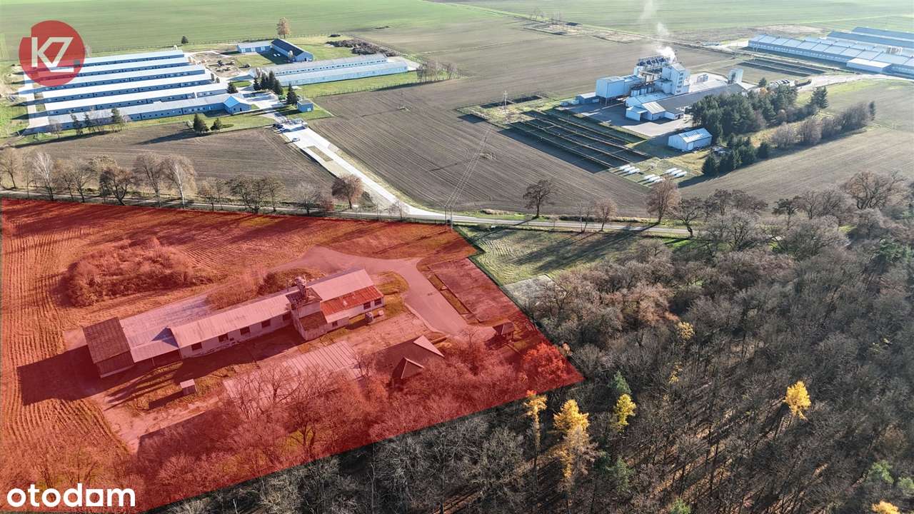 Obiekt na sprzedaż, Margonin (gw)-1