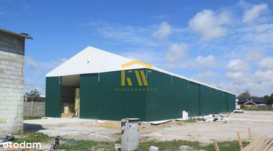 36/4095/OOS - Pełny obrazek: 4/4