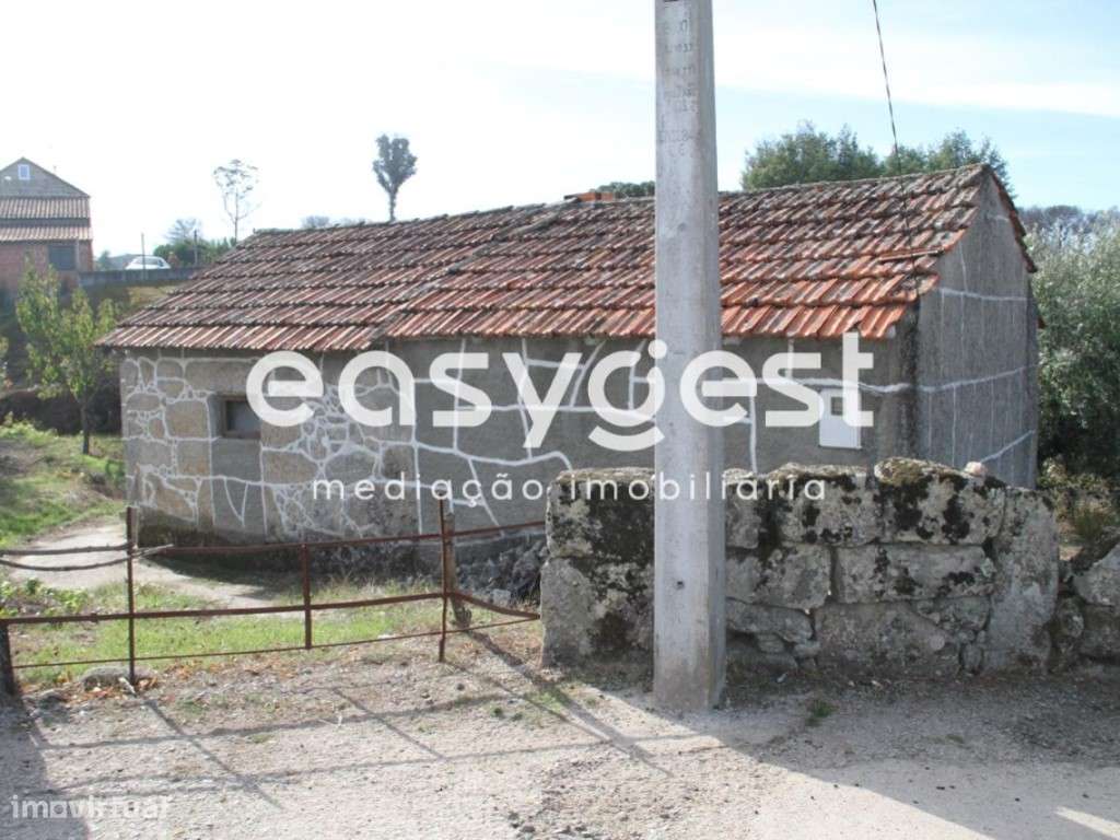 Terreno Rústico em Andorinha, Oliveira do Hospital - Grande imagem: 2/15