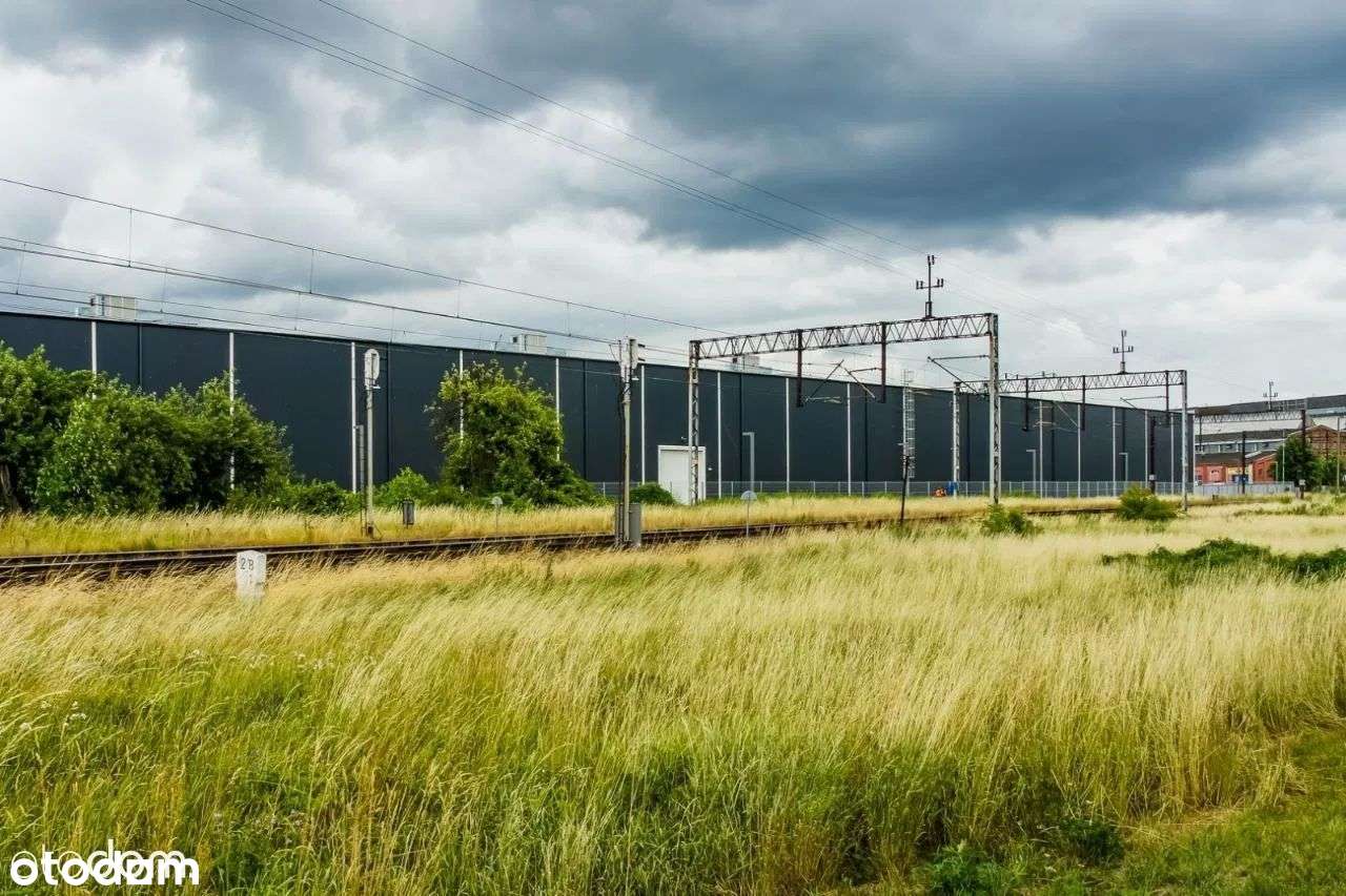 Na wynajem Hala magazynowo-przemysłowa - Pełny obrazek: 4/17