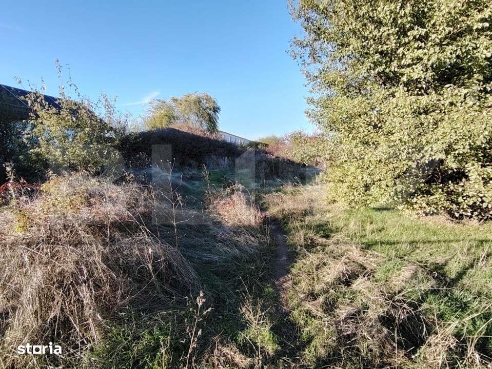 Teren intravilan, Carcea 3081 mp, zona Metro / Robest - Imagine principală: 5/5