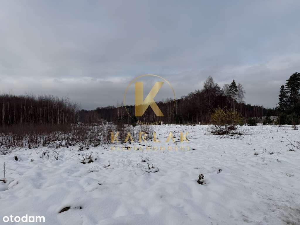 Działka Kaleje w otulinie lasów - 3500 m² - Pełny obrazek: 3/12