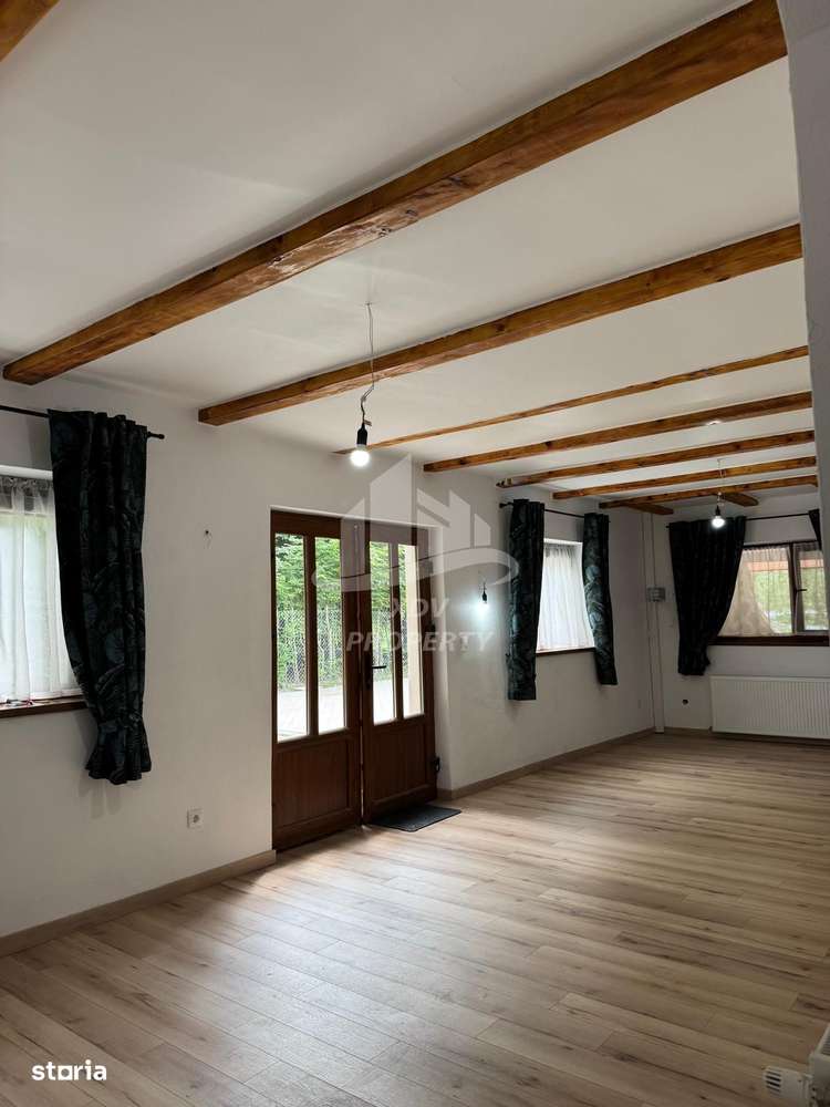 Pensiune/ Vila Valea Avrigului-4