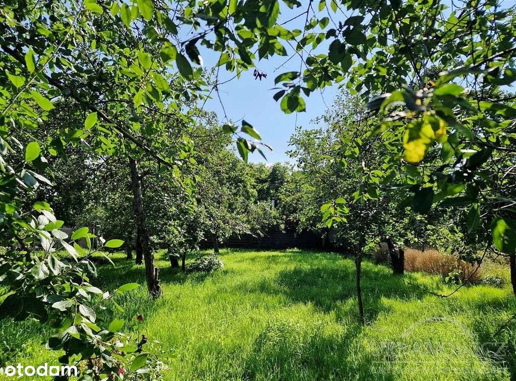 Działka na Rokosowie, Obrońców Tobruku!-2