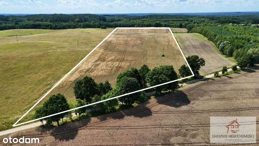 Duża działka rolna w Linownie - Pełny obrazek: 4/13