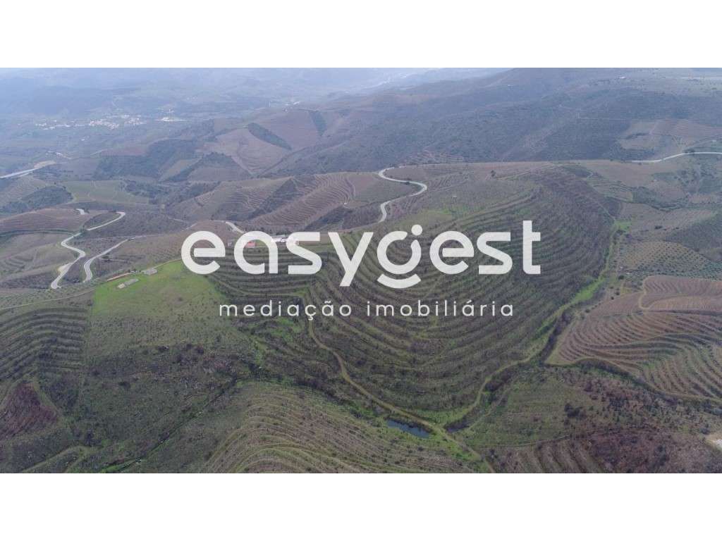 Terreno Rústico - Guarda - Grande imagem: 5/6