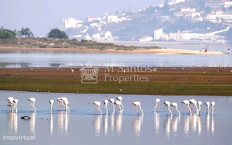 Moradia em Banda T2 Venda em Vau,Óbidos-49
