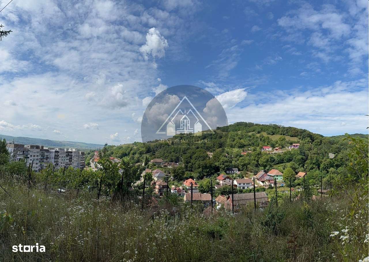 Teren Wewern, Medias - Imagine principală: 3/6