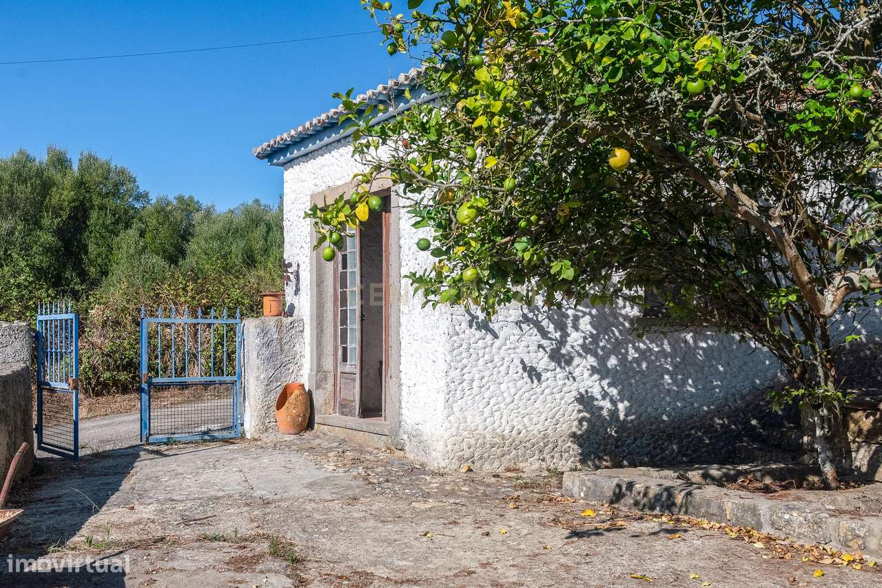 Casa rústica à venda em Sintra para quem procura tranquilidade-5