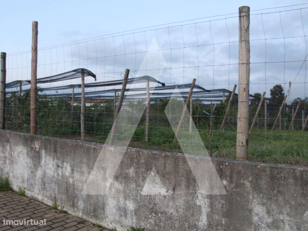 Terreno para construção em Albergaria-a-Velha - Grande imagem: 4/21