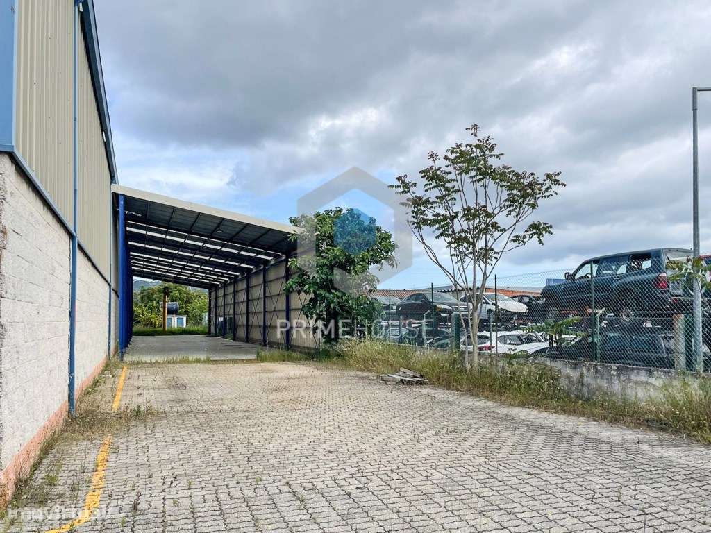 Armazém Industrial Vila Amélia - Grande imagem: 5/15