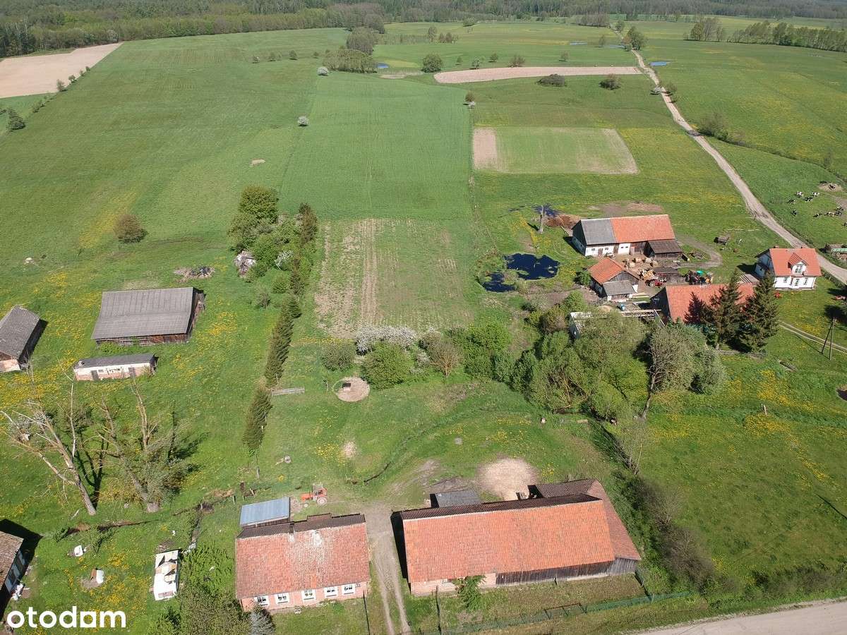 Dom - Włóczyska, gmina Młynary - Pełny obrazek: 3/19