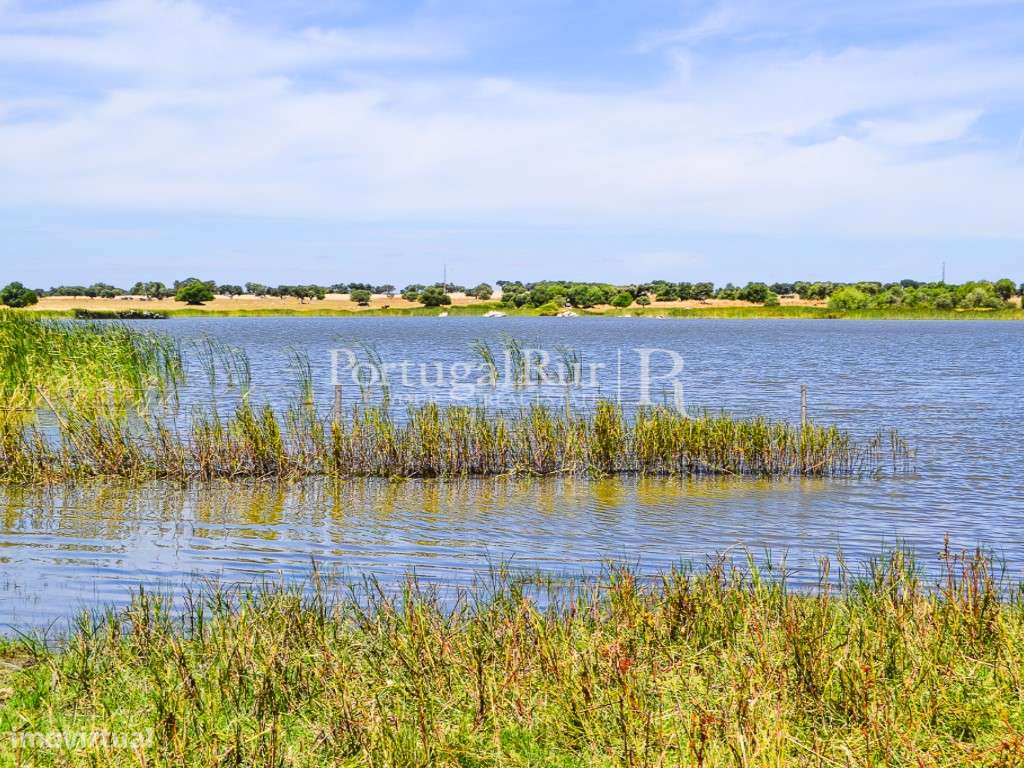 Propriedade de 155 ha com barragem privada - Grande imagem: 5/38