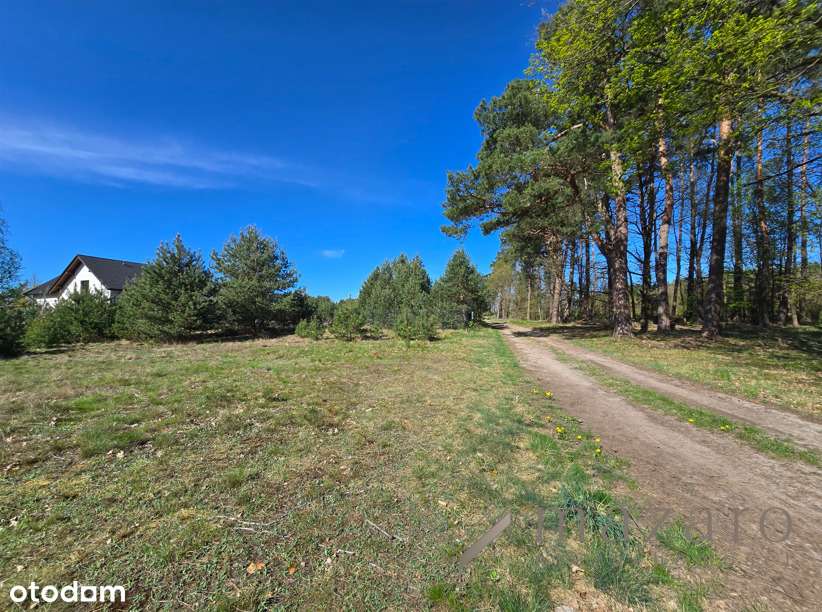 Działka przy lesie z WZ - Pełny obrazek: 4/6