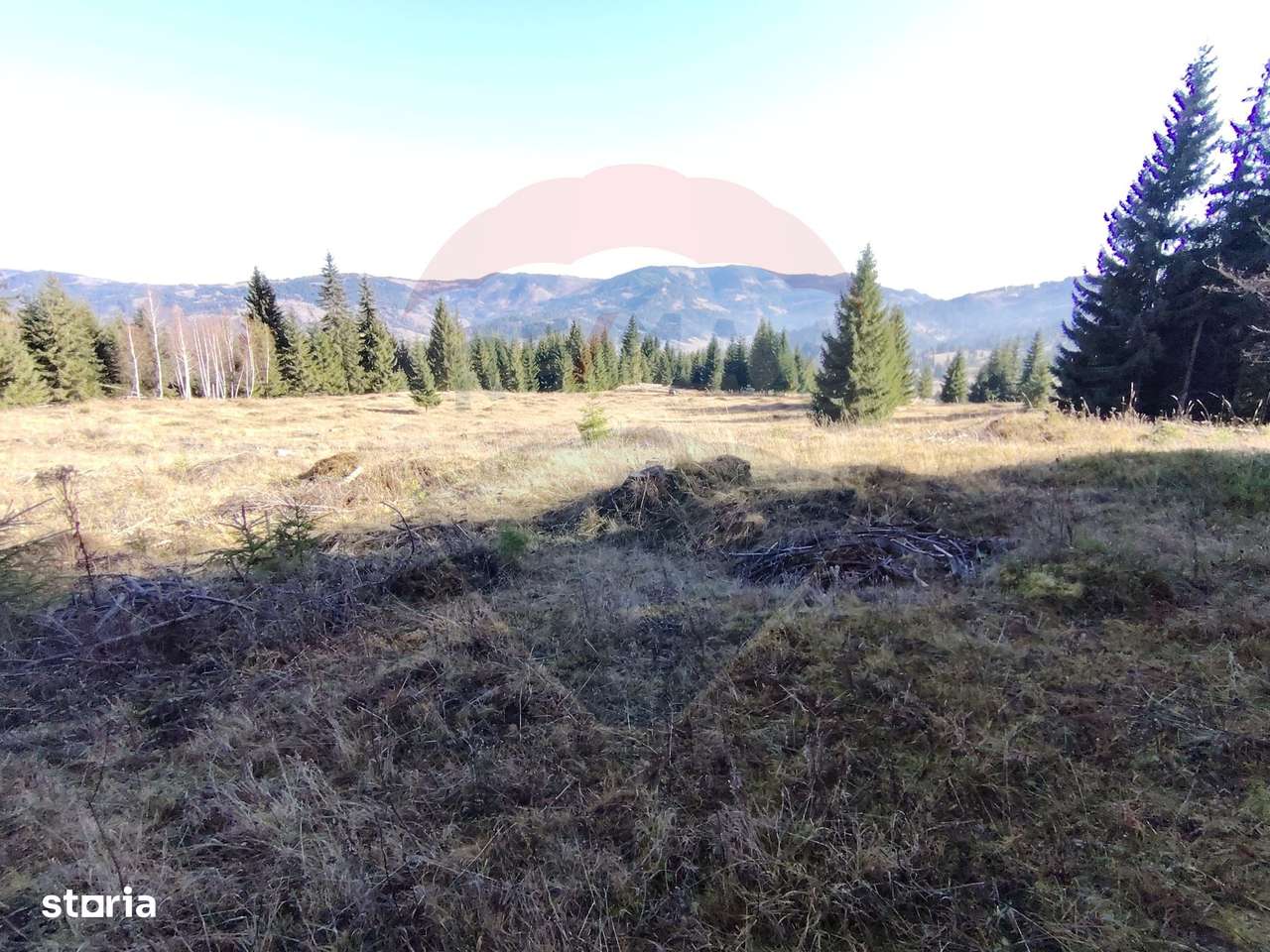 Teren 16,289mp Coverca / Drumul Bucinis-7