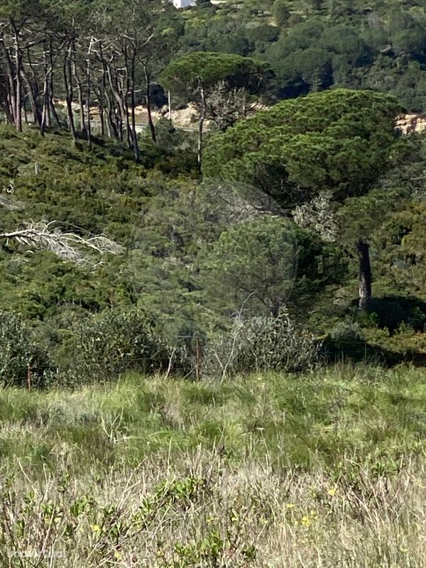 Terreno  para venda