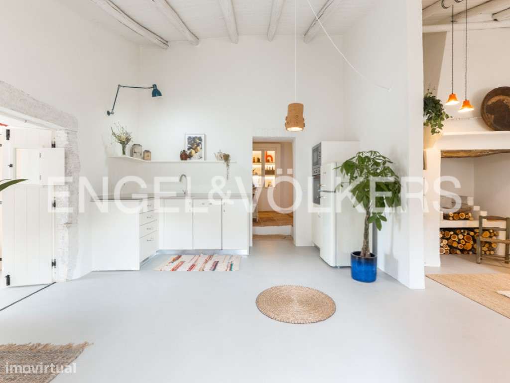 Olive Heritage-8