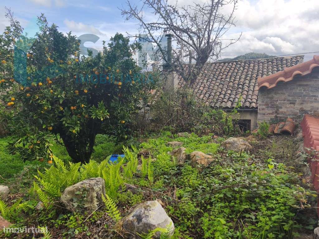 Moradia antiga com grande potencial em Conhais, Góis - Grande imagem: 4/46