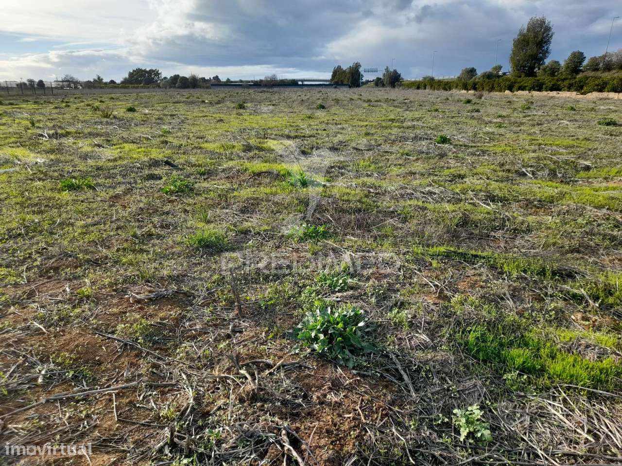 Arrendamento do terreno para agricultura Campinas - Grande imagem: 4/11