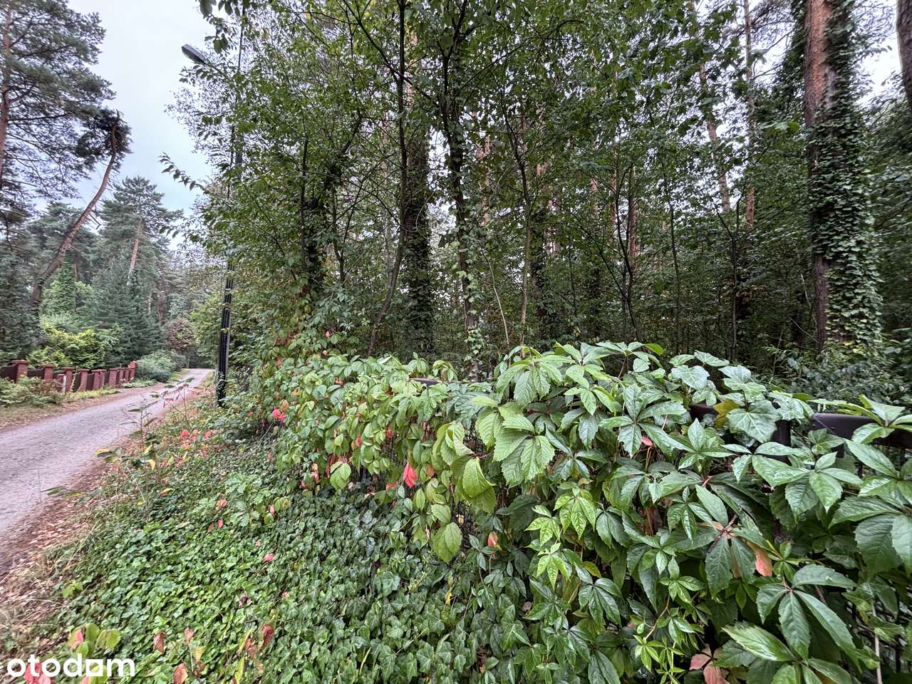 Działka budowlana Magdalenka cena do negocjacji-5