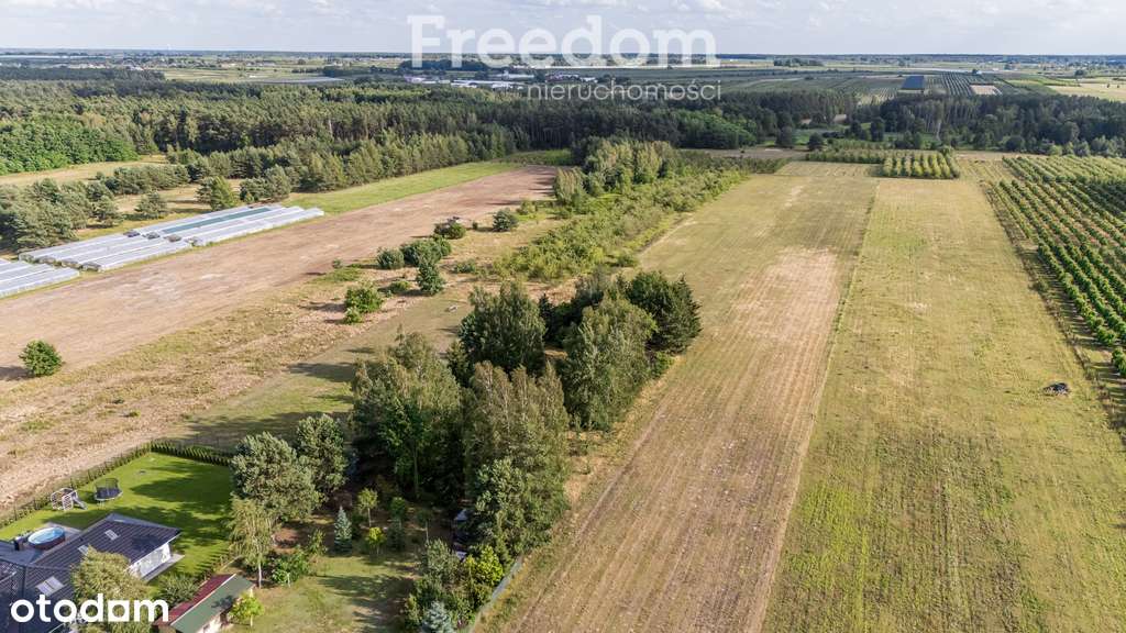 Działka 2500 m² – Buczynów, blisko Góra Kalwaria - Pełny obrazek: 2/10