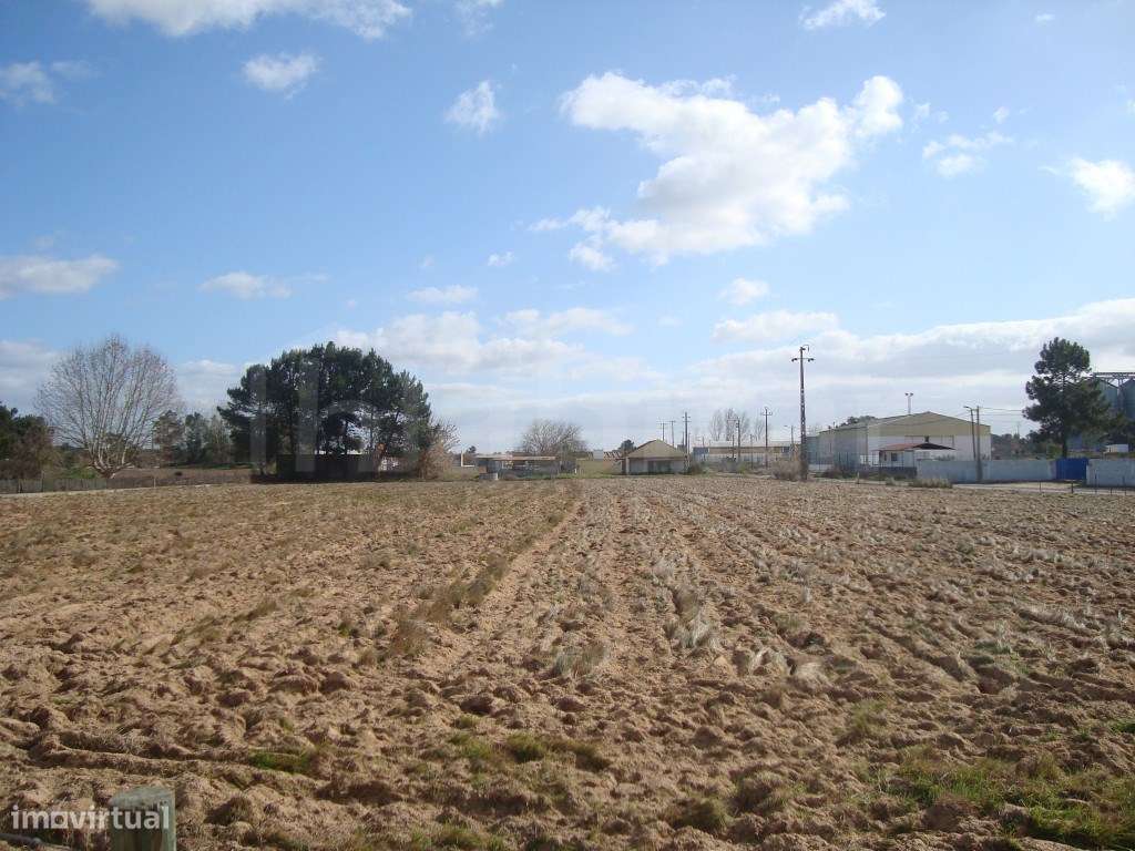 Terreno Venda Industrial - Grande imagem: 4/4
