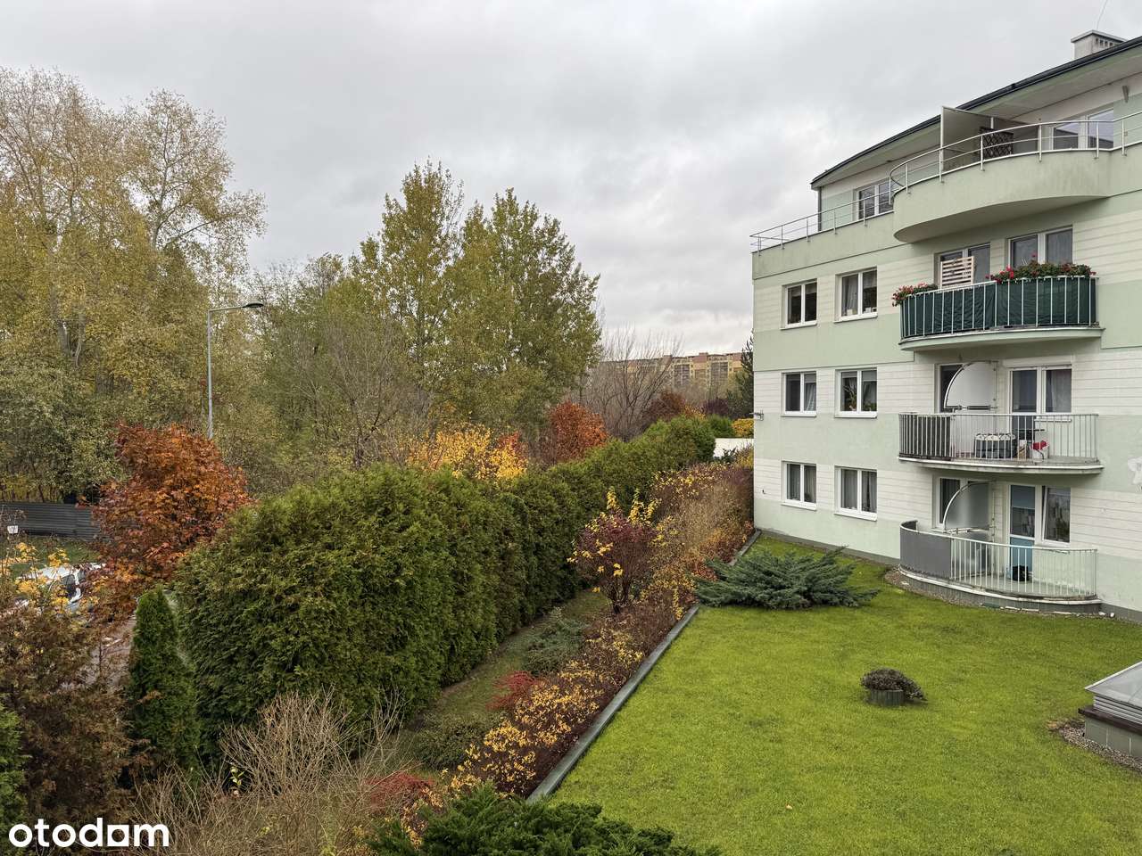 3 pokoje, po generalnym remoncie-10