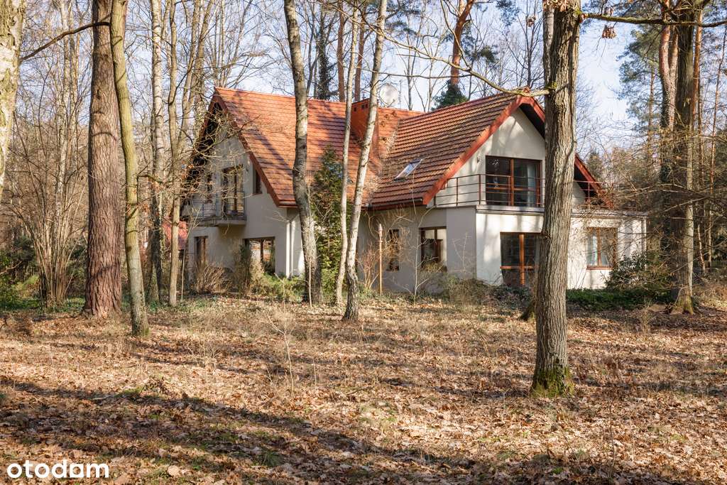 DOM: 270 m2 pozytywnej energii. Prace Duże.-4