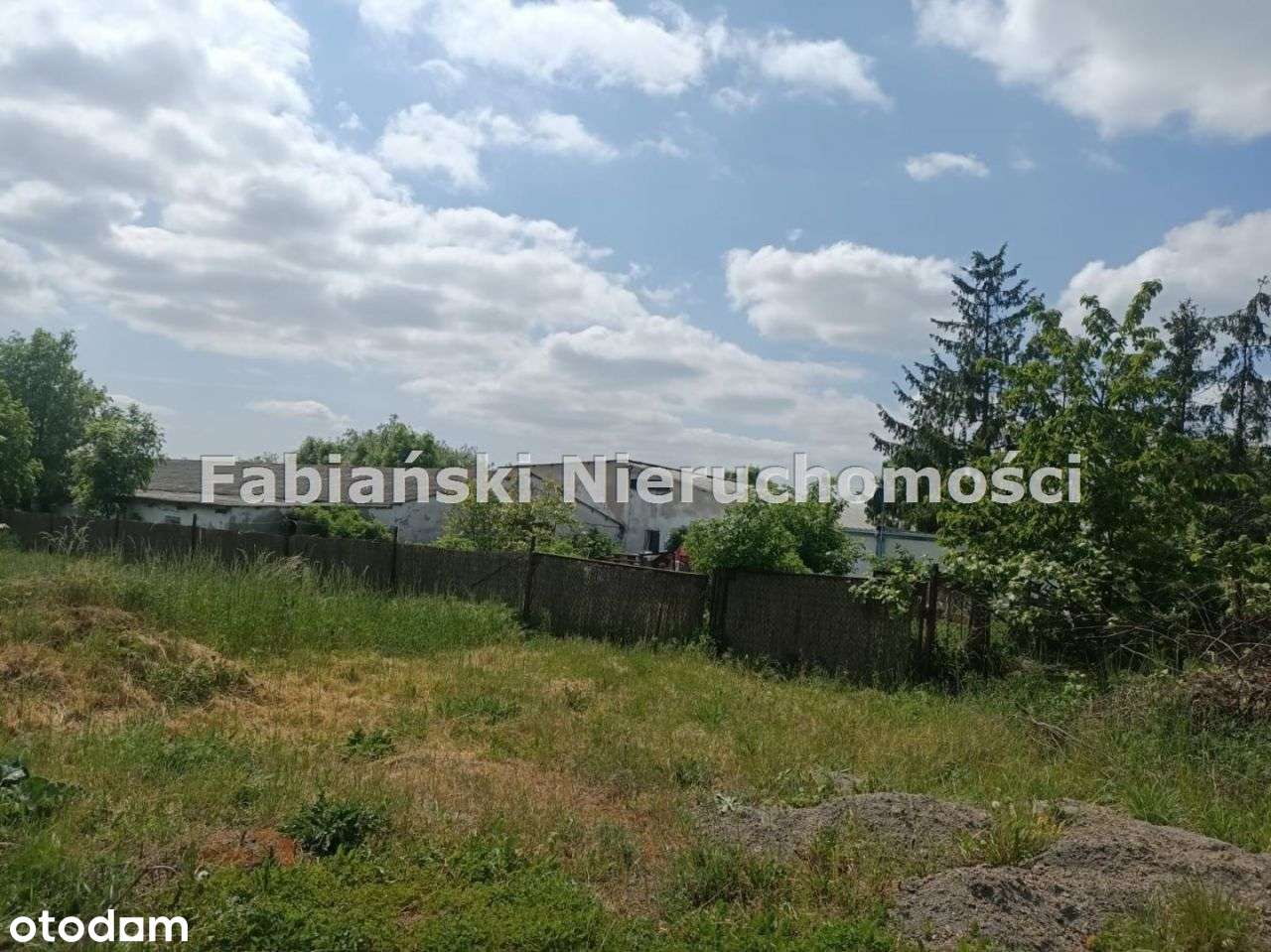 Działka Chludowo - Pełny obrazek: 5/6