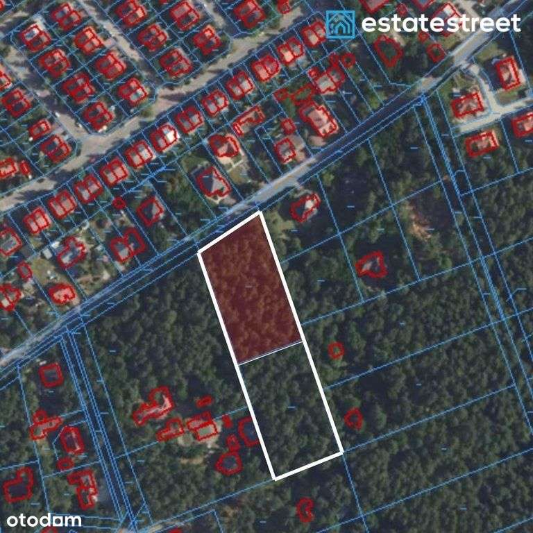 Otwock 3800 m²|Las,działka,media,25 min do Waw - Pełny obrazek: 4/8
