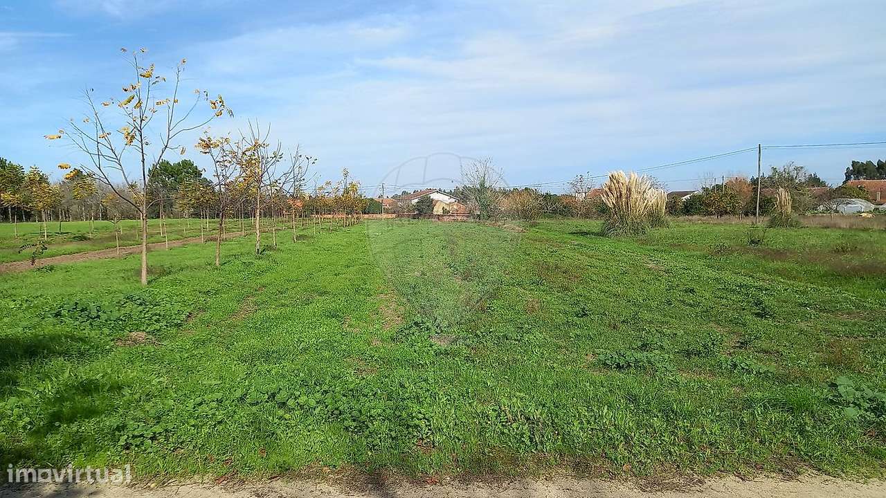 Terreno  para venda - Grande imagem: 2/8
