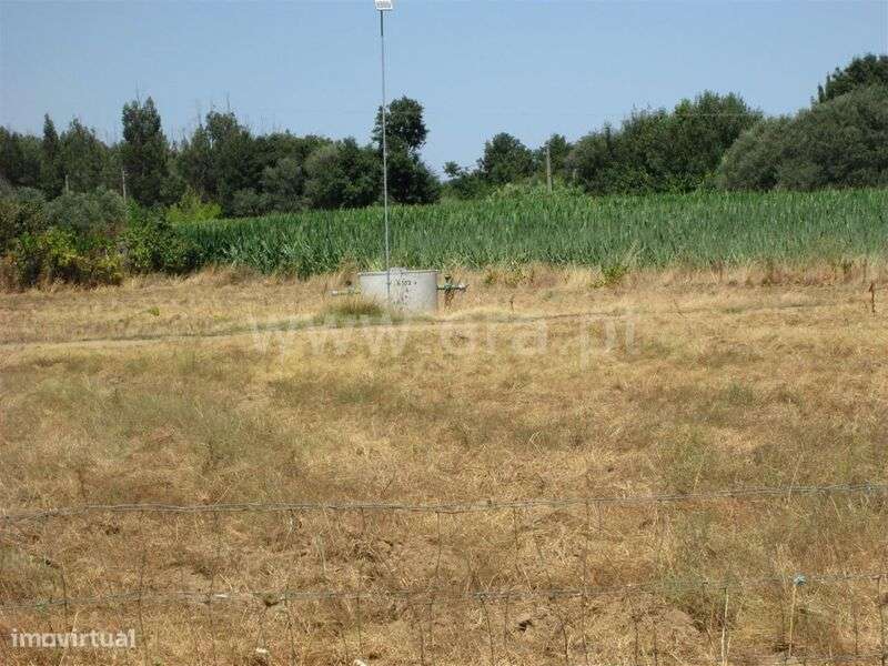 Quinta Estúdio / Fundão, Enxames - Grande imagem: 3/7