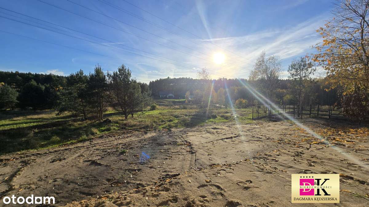 Bliźniak - Las Cisza i Spokój ! Płoty-6