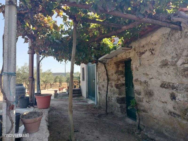 Vendo - Quinta em Freixo de Espada à Cinta! - Grande imagem: 4/12