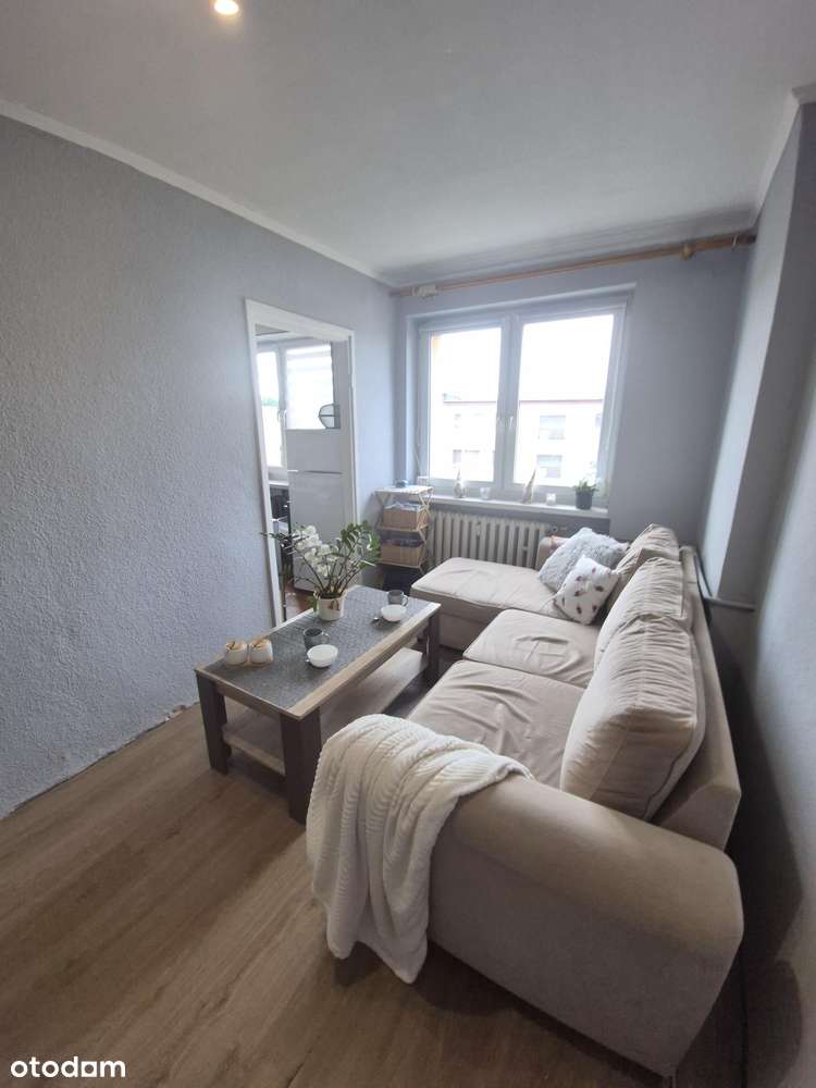 Mieszkanie w Szczygłowicach - Pełny obrazek: 3/8