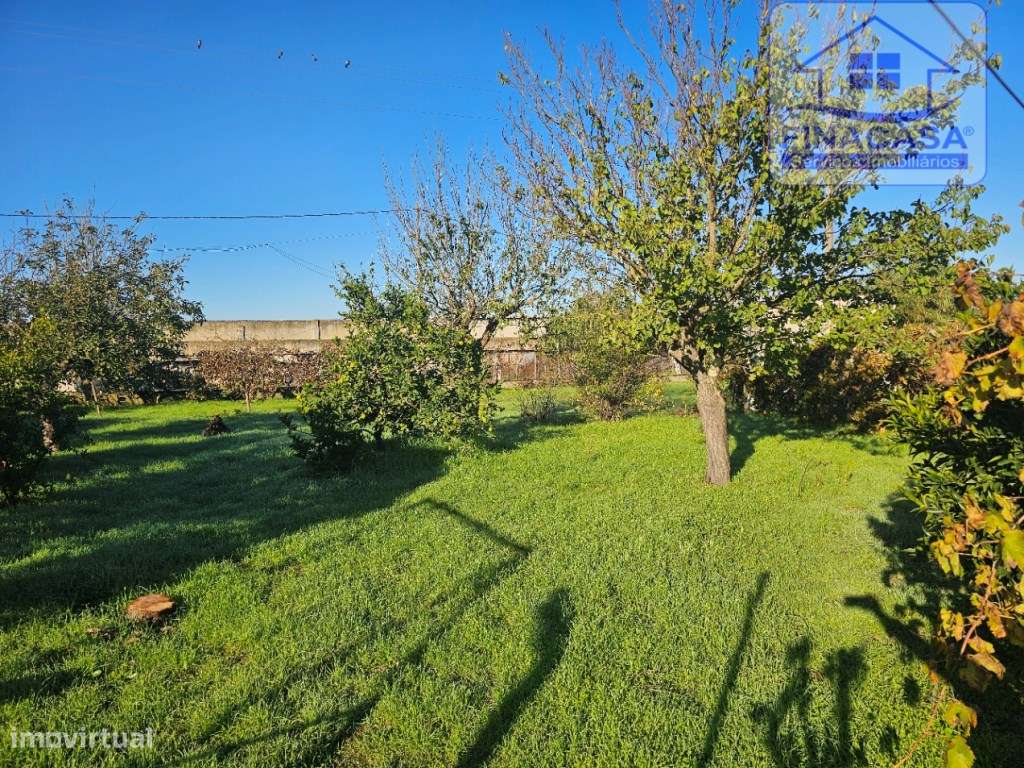 EXCLUSIVO - Quinta com 2069 m2, T1 e um armazém - Asseiceira(Palmela)-5