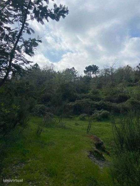 Terreno para venda junto à barragem de Bouça Cova - Grande imagem: 5/10