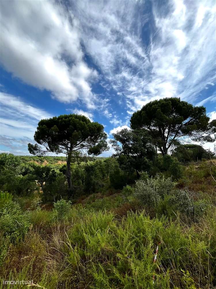 Quinta >=T10 Venda em Cortiçadas de Lavre e Lavre,Montemor-o-Novo-48