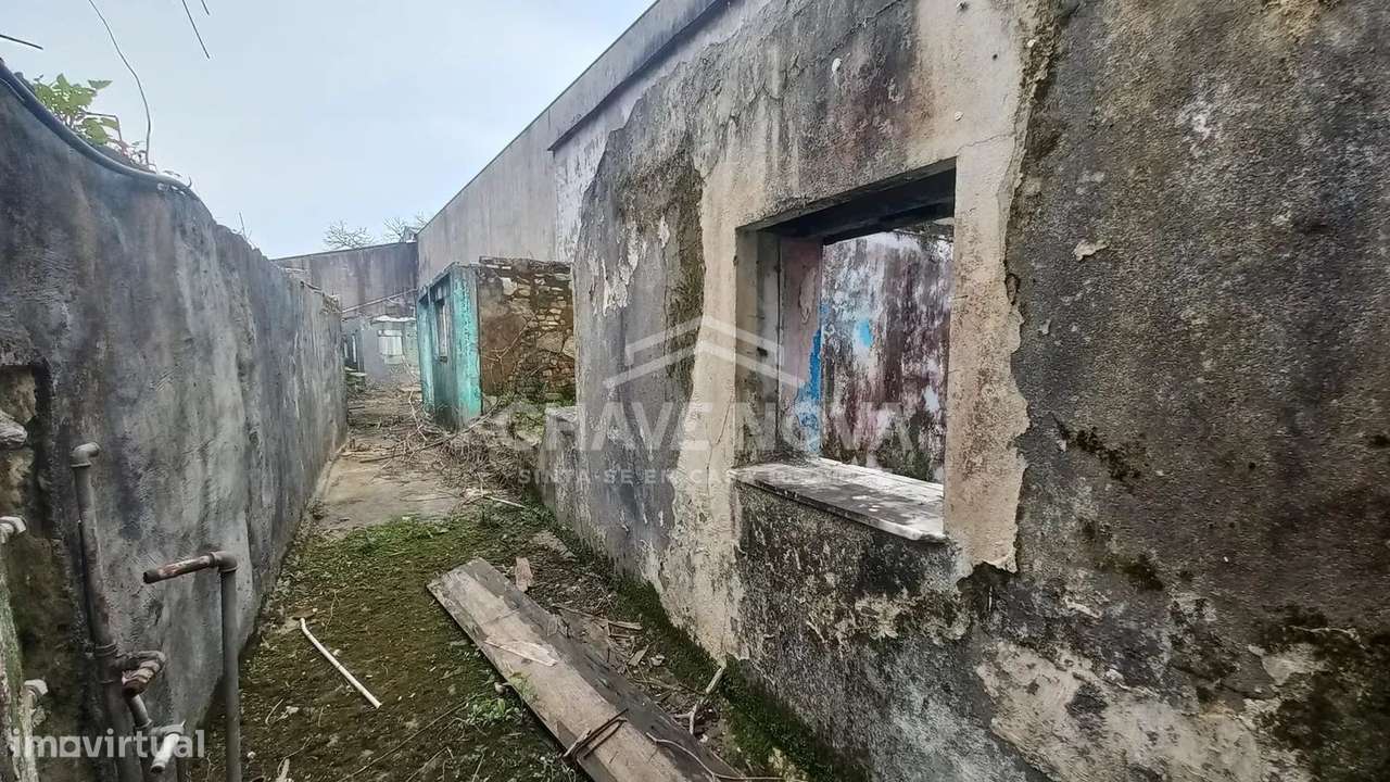 Ilha com 7 casas | Oliveira do Douro - Grande imagem: 4/11